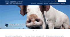 Desktop Screenshot of fbn-dummerstorf.de